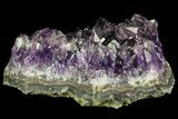 Purple Amethyst Cluster - Uruguay #66724-2